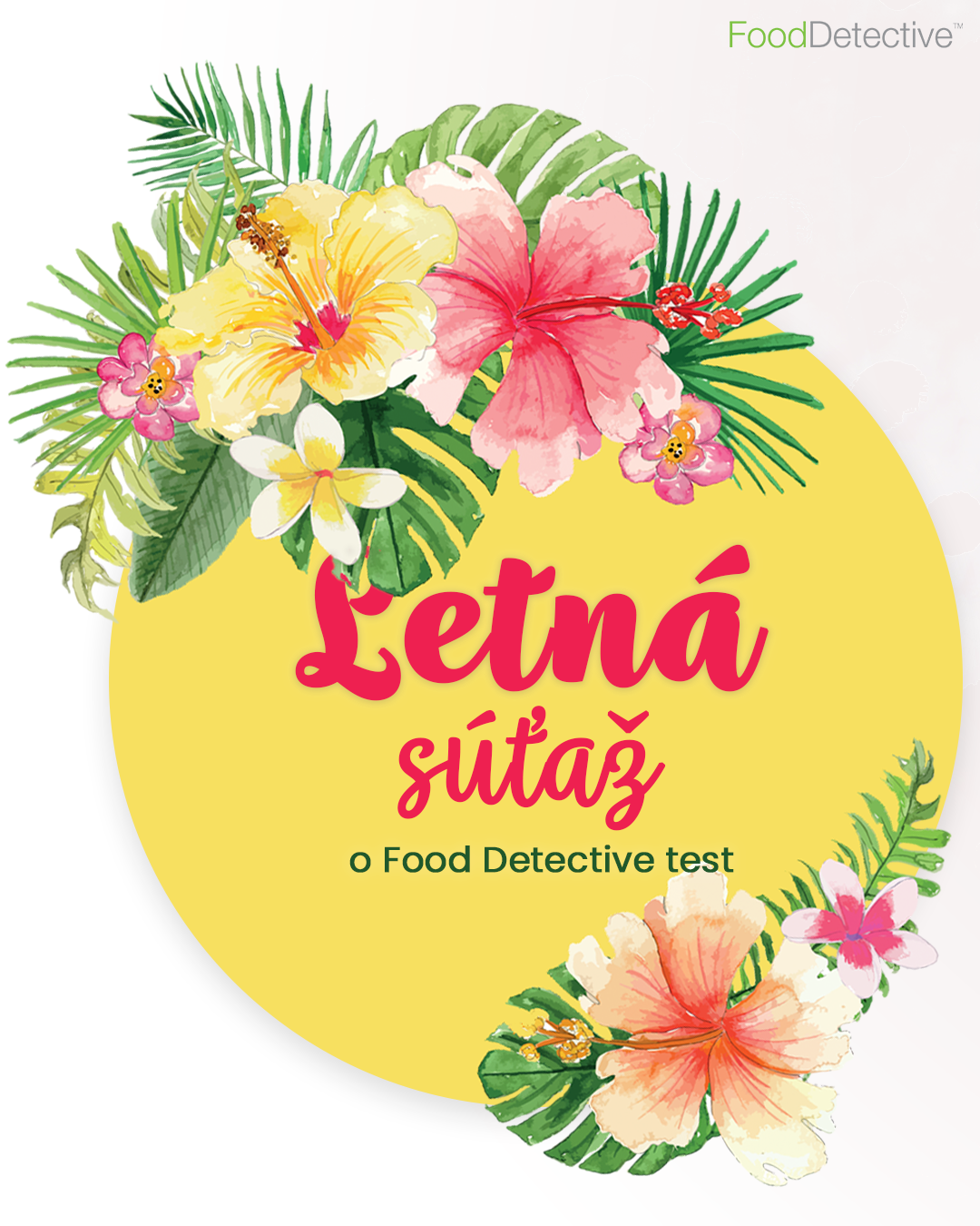 Food Detective súťaž